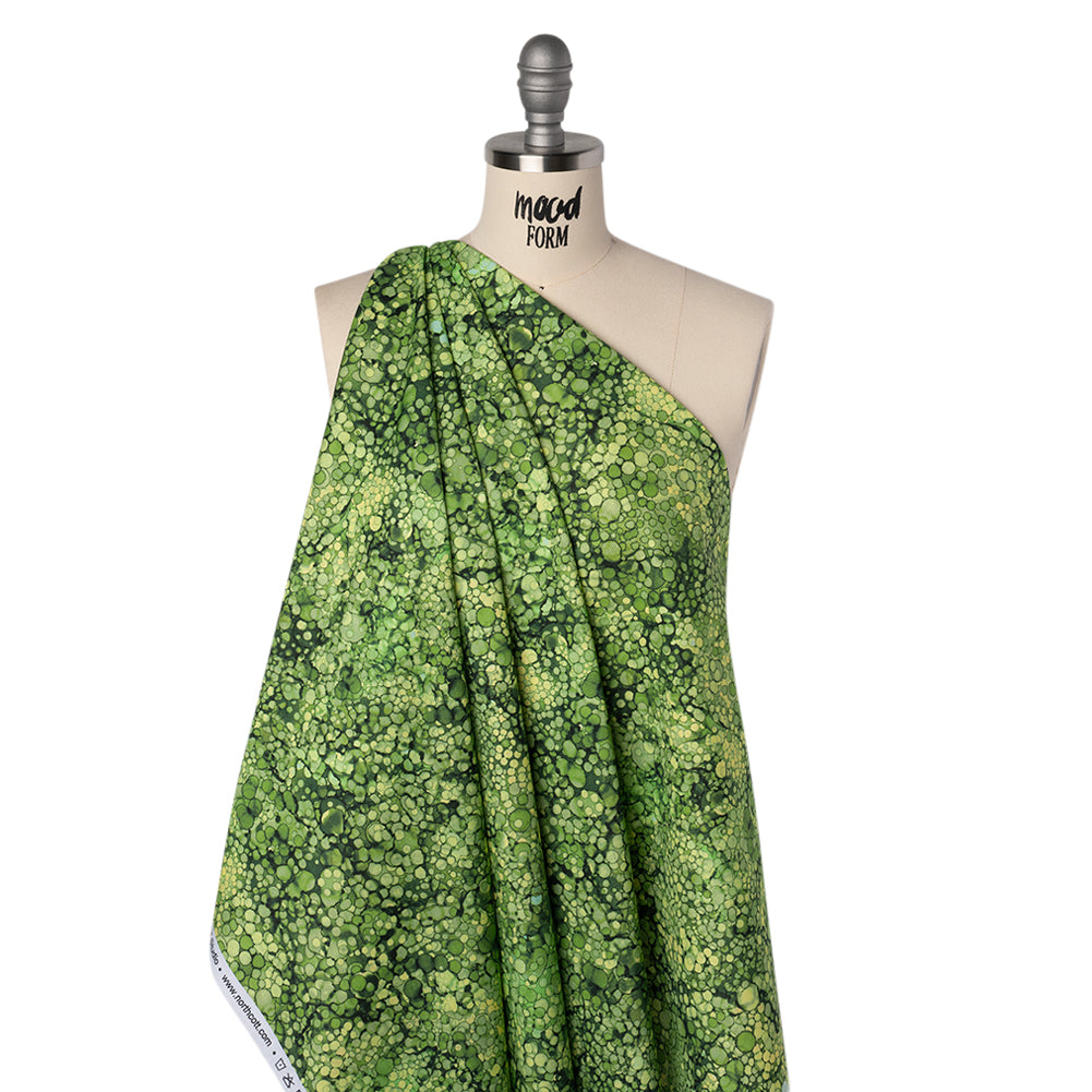 Printed Quilting Cotton by Northcott - Rainforest Bubbles - Bliss Collection Folded Printed Quilting Cotton by Northcott - Rainforest Bubbles - Bliss Collection Folded
