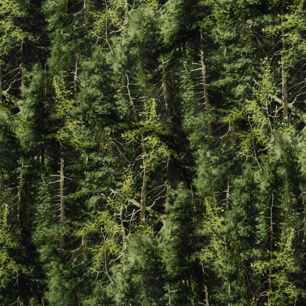 Printed Quilting Cotton by Northcott Studio - Mid Green Evergreen Trees - Naturescapes Collection Printed Quilting Cotton by Northcott Studio - Mid Green Evergreen Trees - Naturescapes Collection
