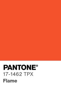 Pantone Flame Color Swatch