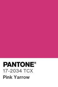 Pantone Pink Yarrow Color Swatch