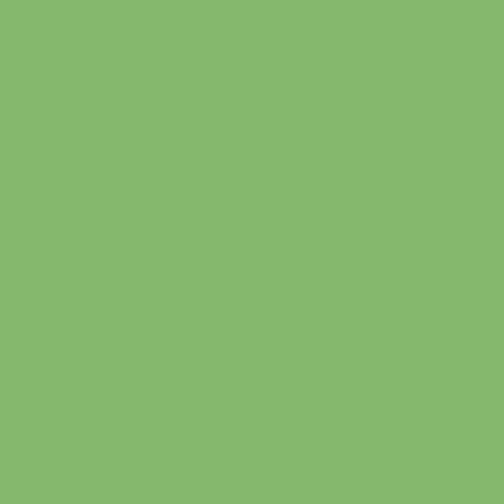 Gutermann Sew All Thread 100m - 728 Light Green Detail