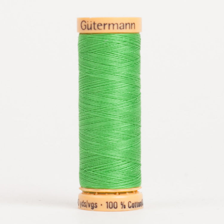 template--25130090922057__main-Gutermann Cotton Thread 100m - 7850 Fern