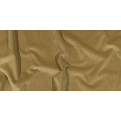 Taupe Cotton Velvet Full