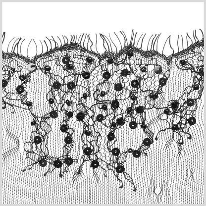 4.5" Black Fancy Eyelash Beaded Lace Trim Detail