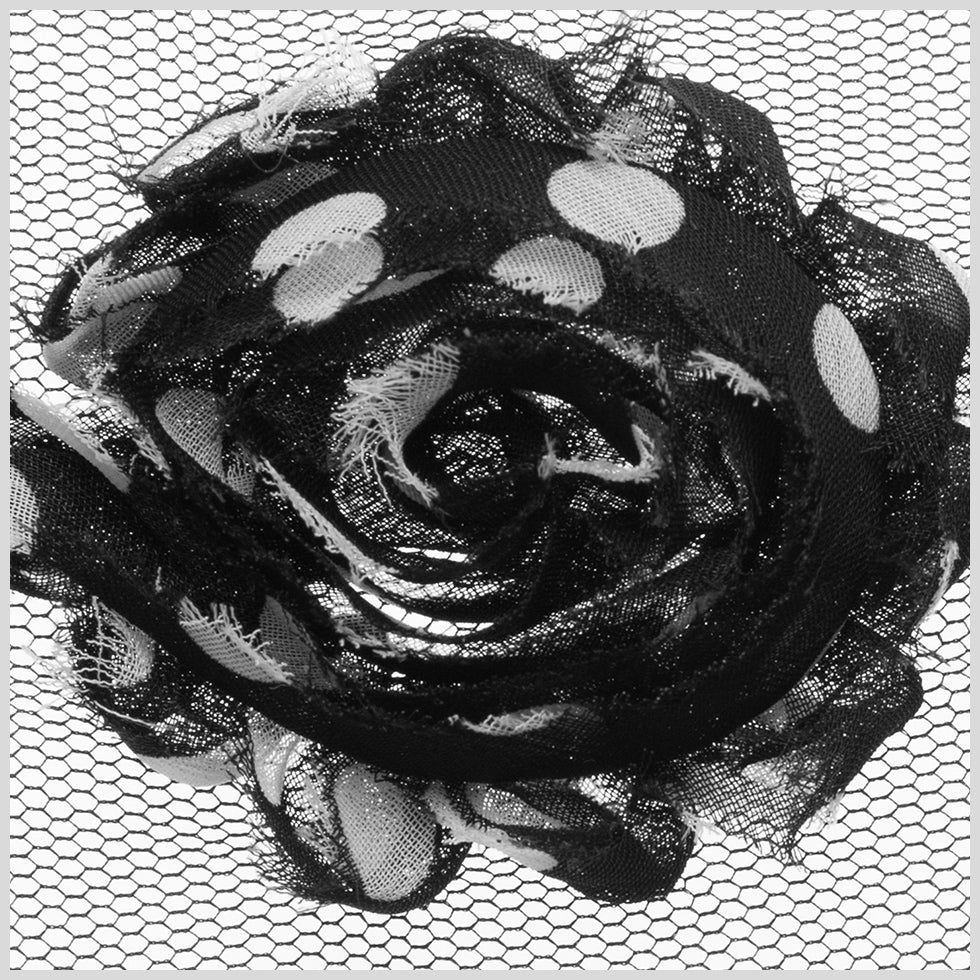 3" Black/White Polka Dotted Floral Lace Trim Detail