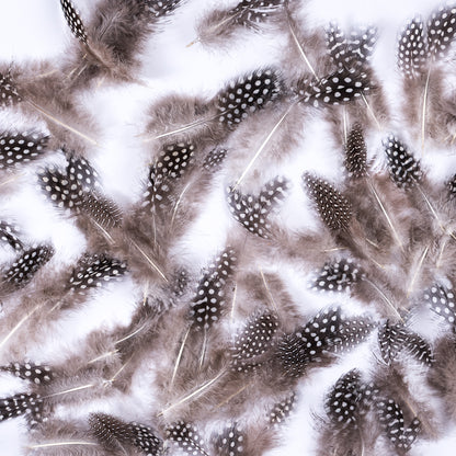 Bag of Natural Guinea Fowl Feathers