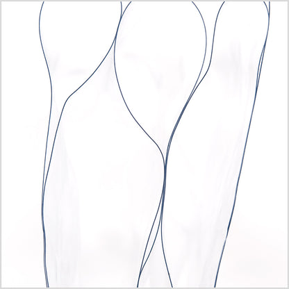 Clear Heavyweight Vinyl - Detail