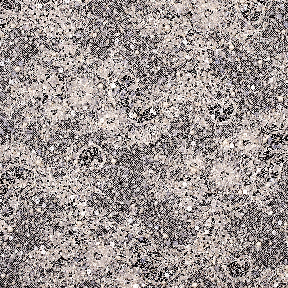 Skin Scallop Edge Beaded and Sequined Floral Lace