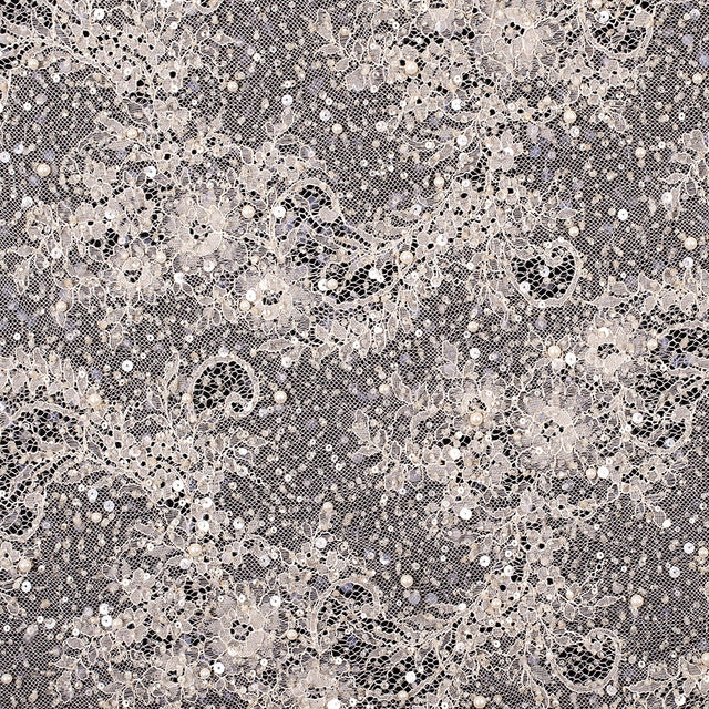 Skin Scallop Edge Beaded and Sequined Floral Lace