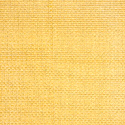 Sunshine Novelty Basketweave Upholstery Fabric