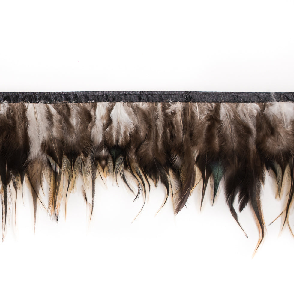 6 Brown to Yellow Cock Feather Fringe