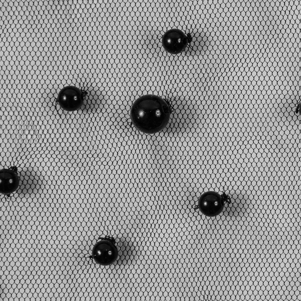 Mesh Lace with Pearl Beads - Black Full