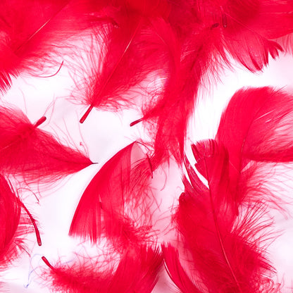 Red 5 Gram Bag of Feathers - Detail