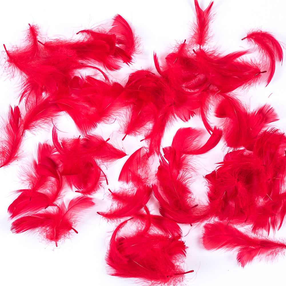 Red 5 Gram Bag of Feathers