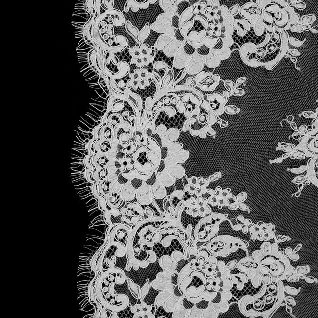 Off-White Floral Fancy Corded Lace with Scalloped Eyelash Edges