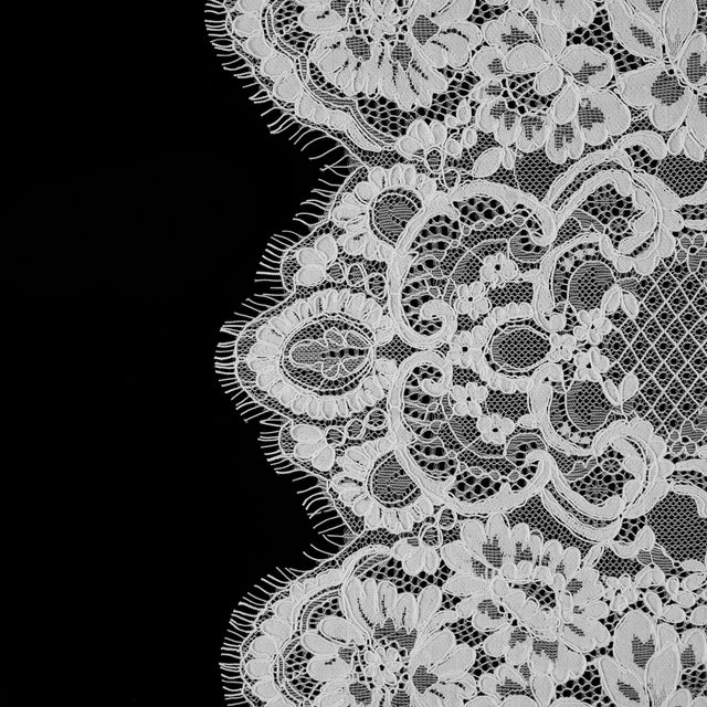Off-White Floral Fancy Corded Lace with Scalloped Eyelash Edges