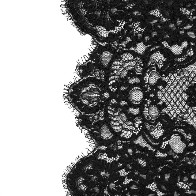 Black Floral Fancy Corded Lace with Scalloped Eyelash Edges