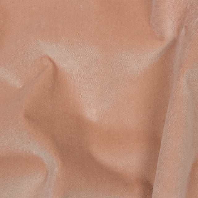 Rosewater Cotton Velvet