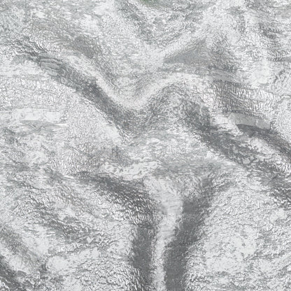 Metallic Matte Silver Abstract Luxury Brocade