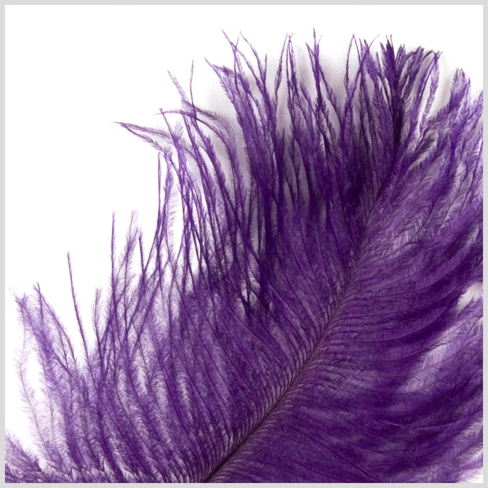 Purple Ostrich Feather - 10-12 - Detail