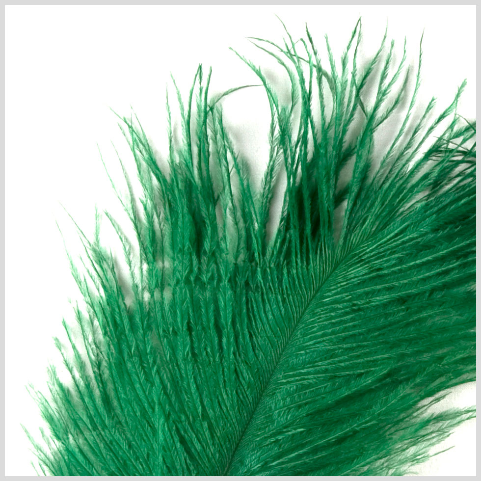 Emerald Ostrich Feather - 10"-12" Detail