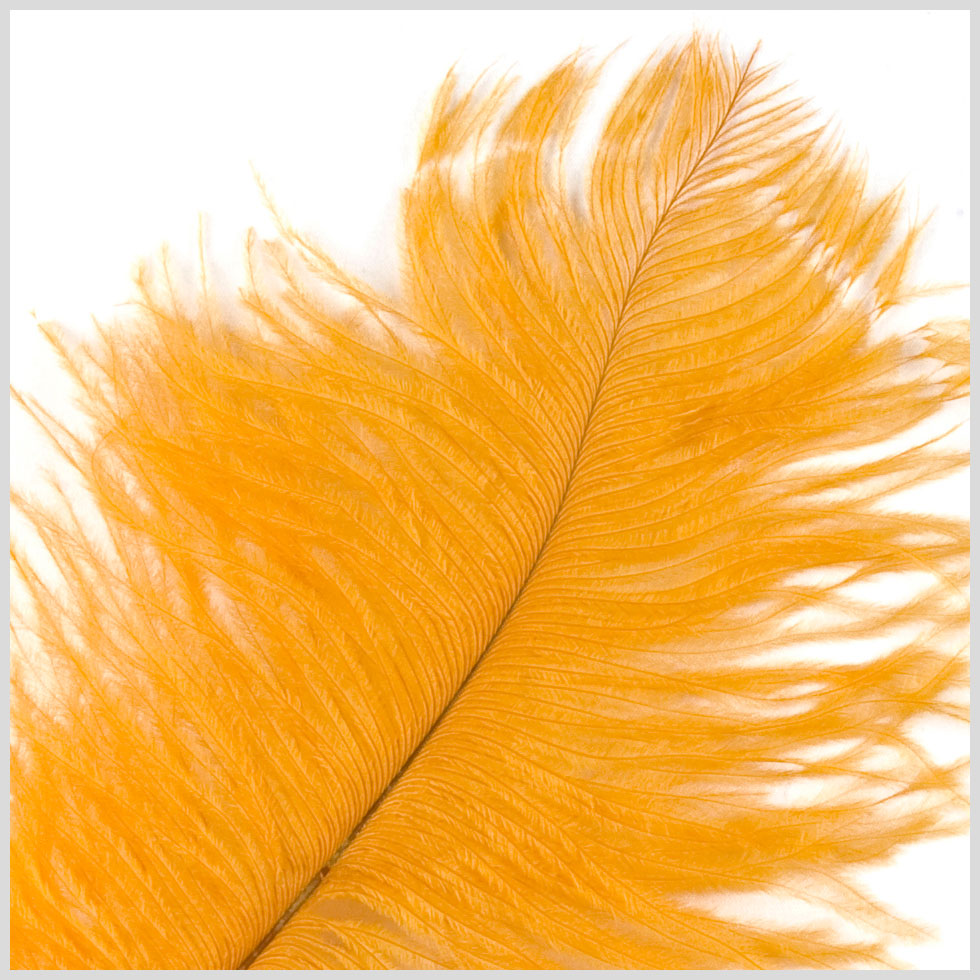 Gold Ostrich Feather - 10-12 - Detail