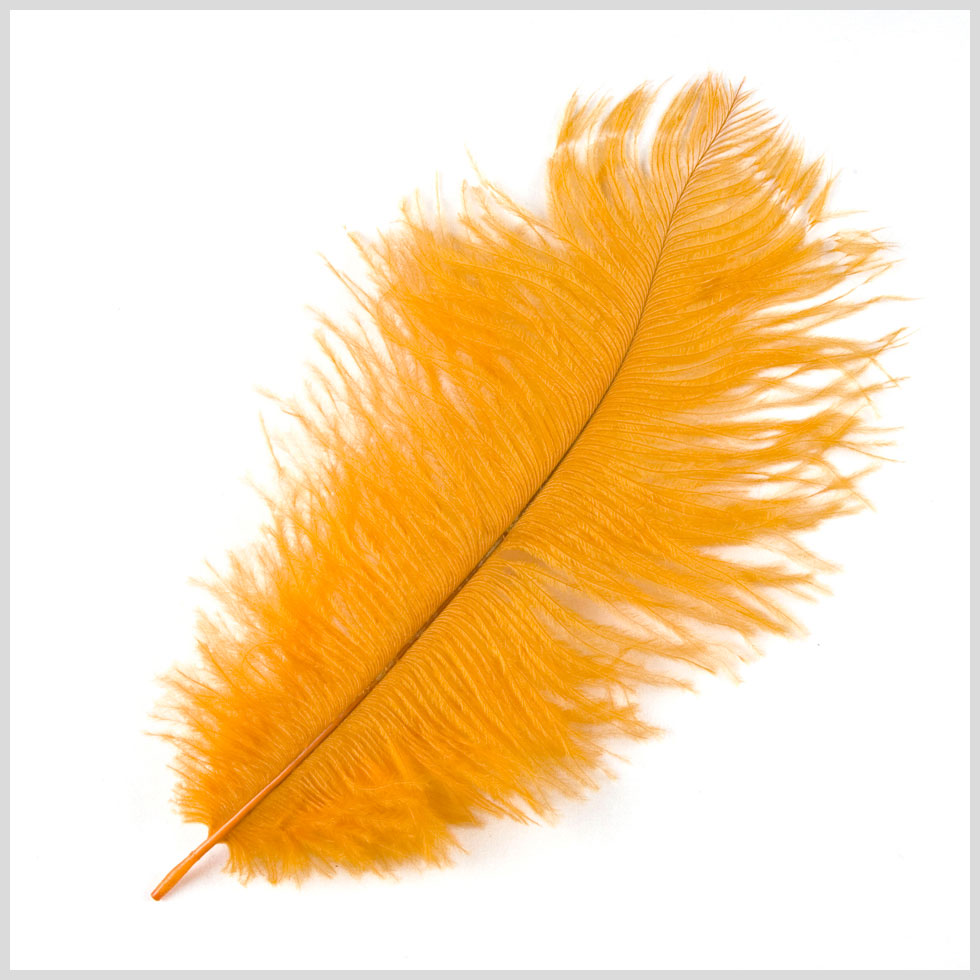 Gold Ostrich Feather - 10-12