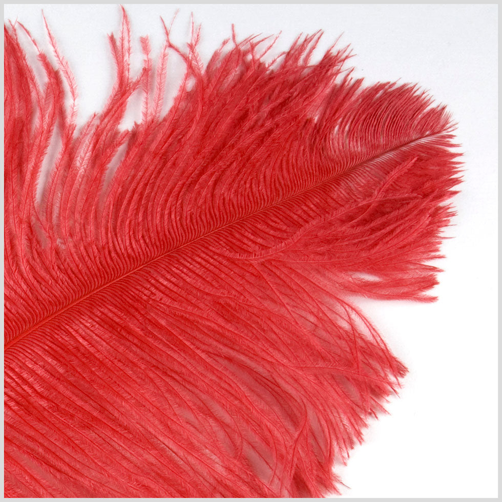18"-21" Red Ostrich Feather Detail