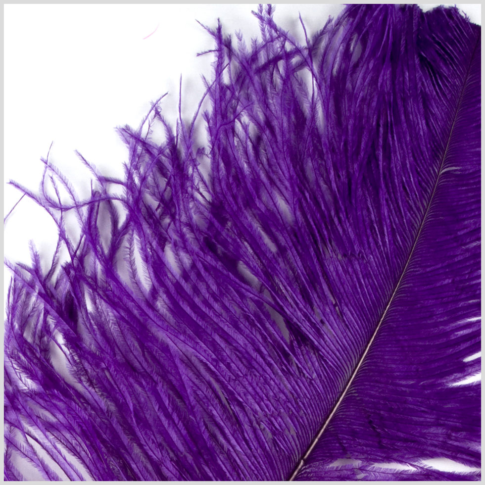18-21 Purple Ostrich Feather - Detail