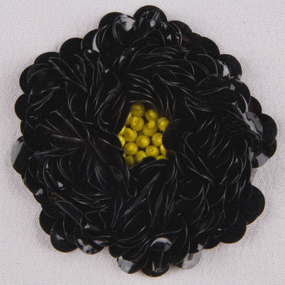 Sequin Applique