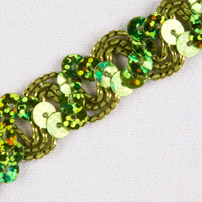 1/2" Kiwi Fancy Sequin Trim Detail