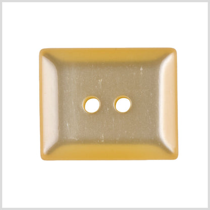 Brown Horn Button - 50L/32mm