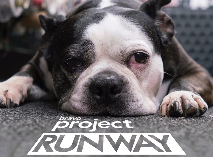 template--25421035405385__early_years_section_rRTDbA-2002swatchthemooddog_b3938b8f-4842-4f9e-b376-82e3366f538b