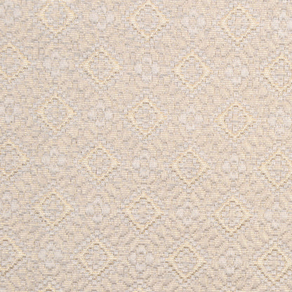 Elegant Italian Brocade