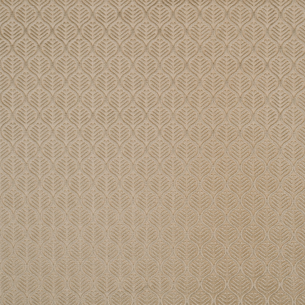 Pale Gold Geometric Cut Velvet