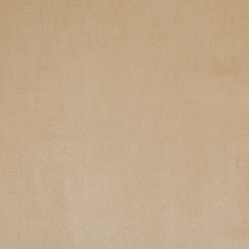 Pale Gold Home Decor Velvet