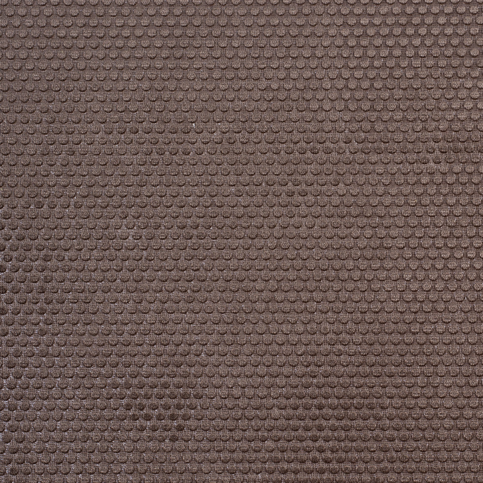 Ginger Snap Dotted Cut Velvet