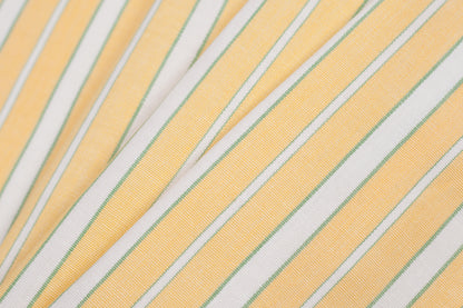 Impala Green and White Striped Cotton Canvas Folded