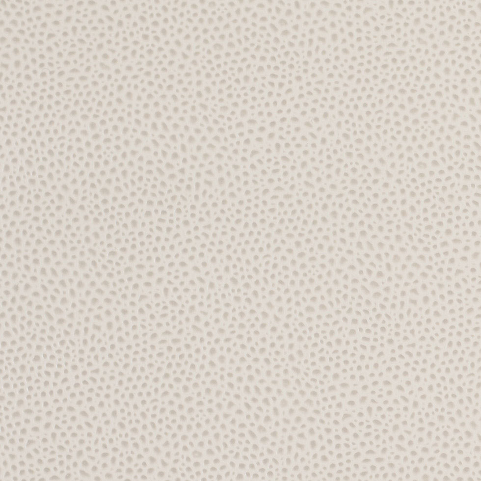 Antique White and Pumice Stone Spotted Vinyl - Detail