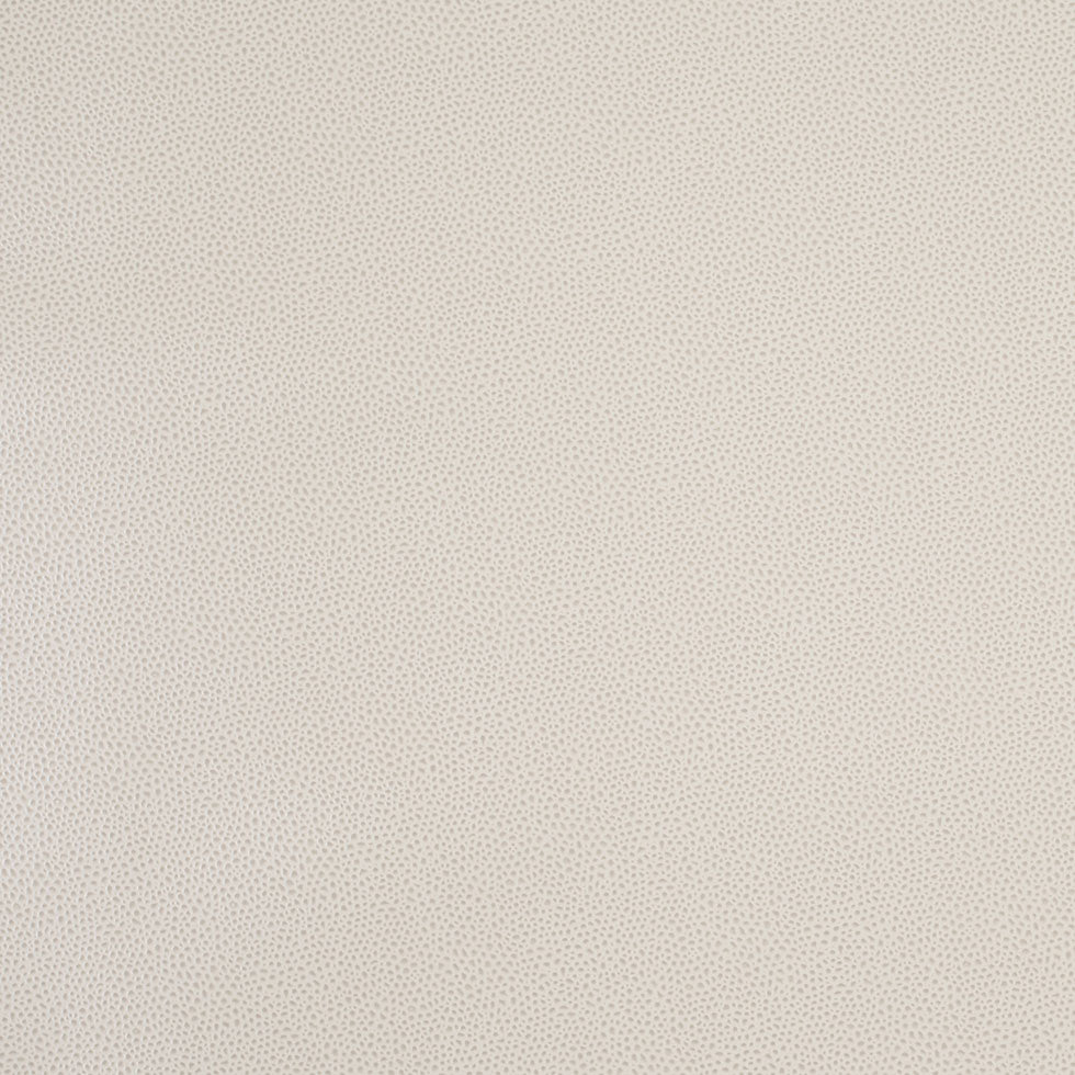 Antique White and Pumice Stone Spotted Vinyl