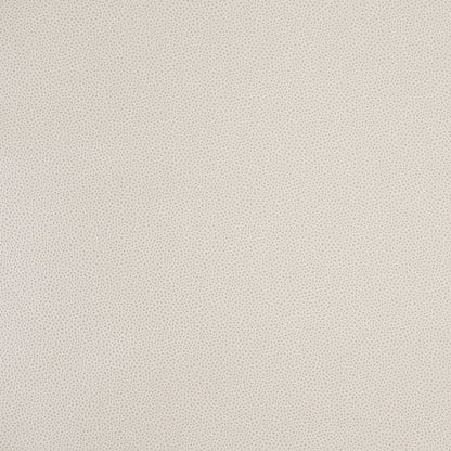 Antique White and Pumice Stone Spotted Vinyl