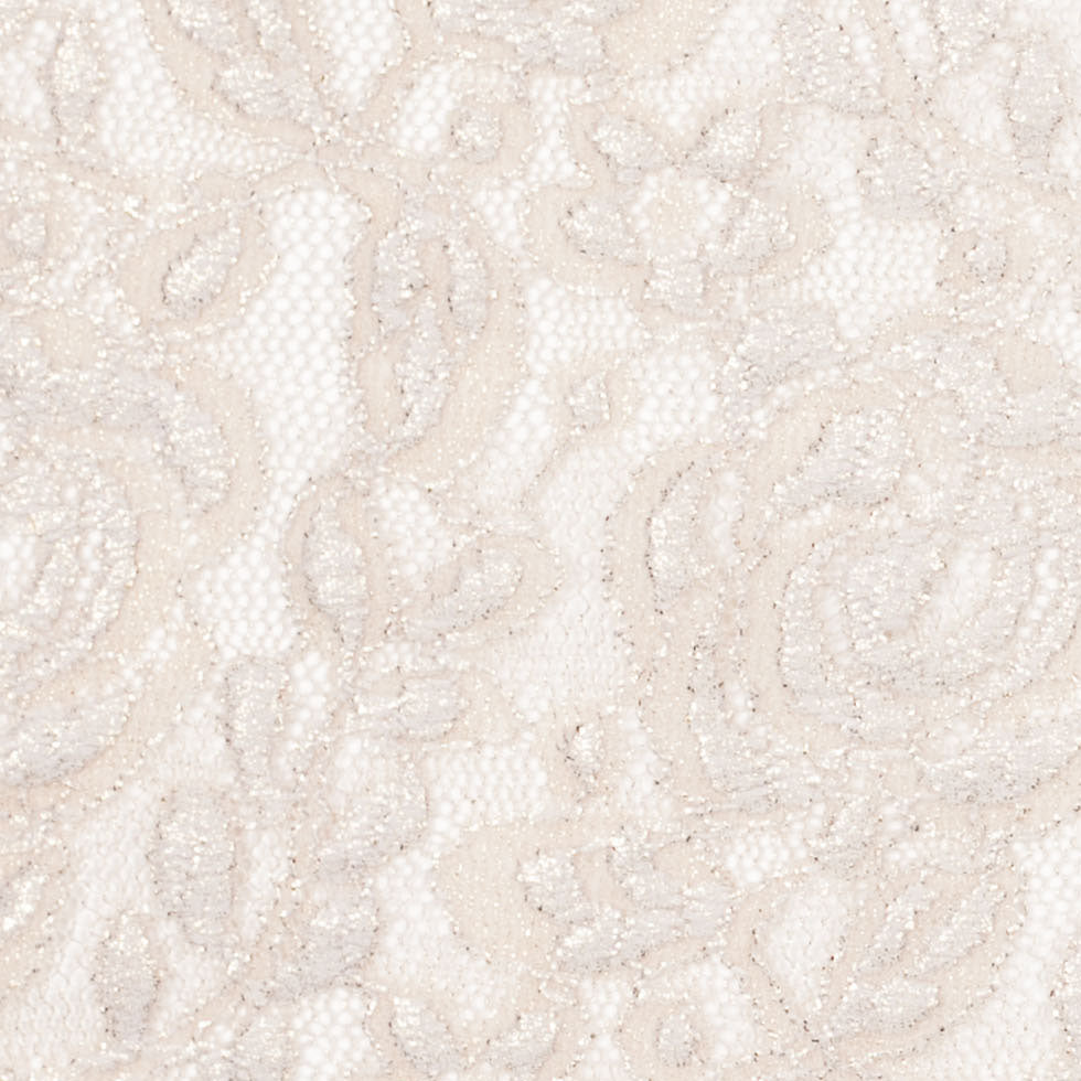 Metallic Coated Gold/Beige Floral Nylon Lace Detail