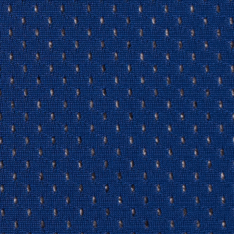 Royal Blue 100 Denier Polyester Athletic Mesh - Full