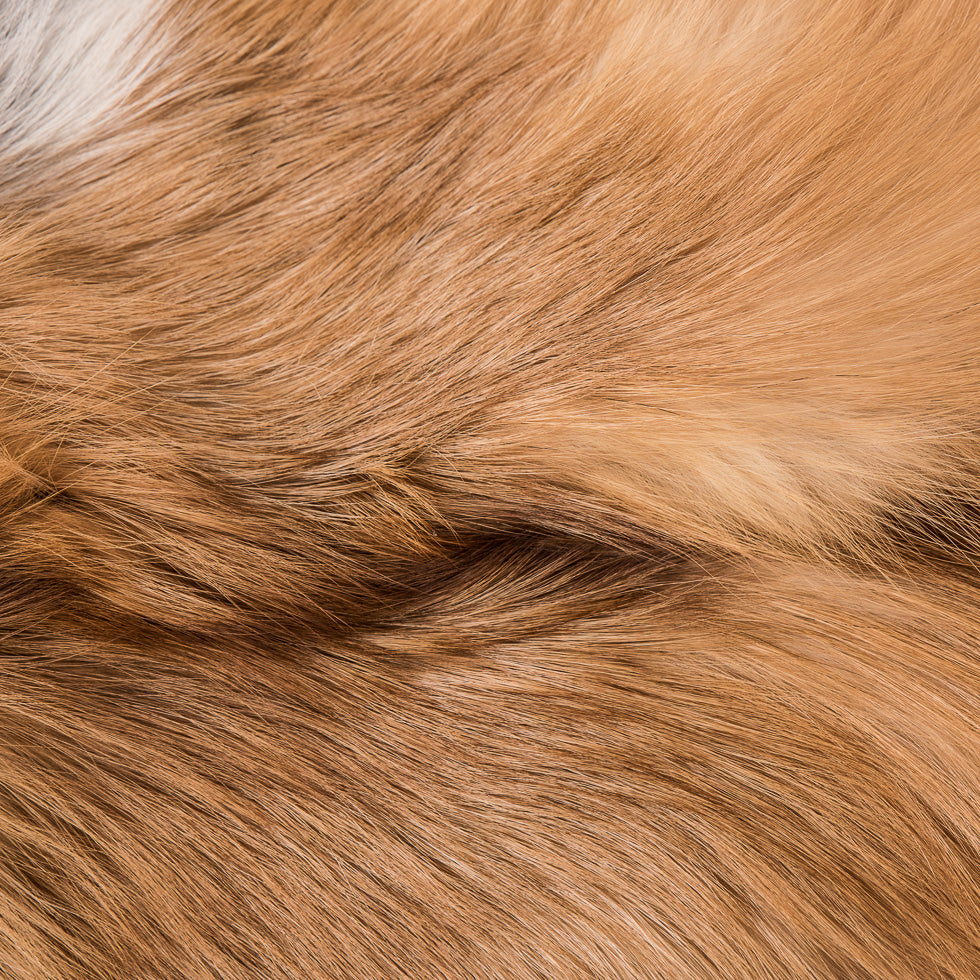Full Red Fox Fur Hide - Folded