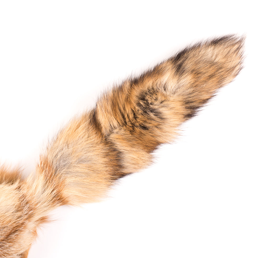Full Red Fox Fur Hide - Full