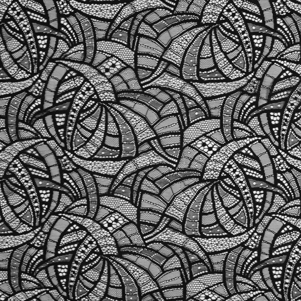 Black Abstract Geometric Lace w/ Scalloped Eyelash Edges
