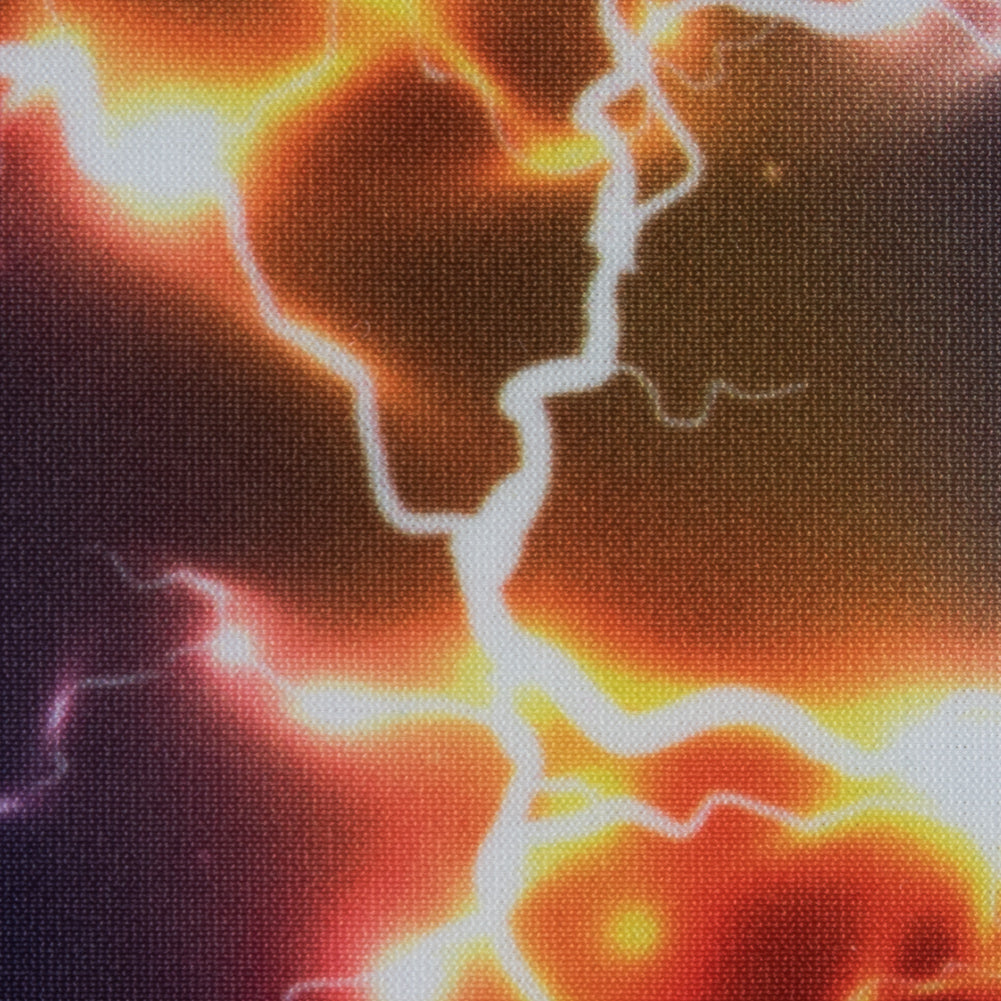 Shocking Printed Max-Dri Anti-Microbial Performance Tricot Full