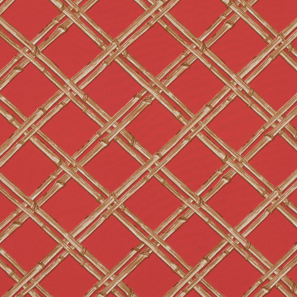 Fiesta Orange and Taffy Bamboo Printed Polyester Jersey