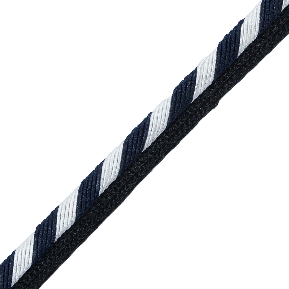 Striped Twisted Cord Trim with Lip - 0.25" Detail
