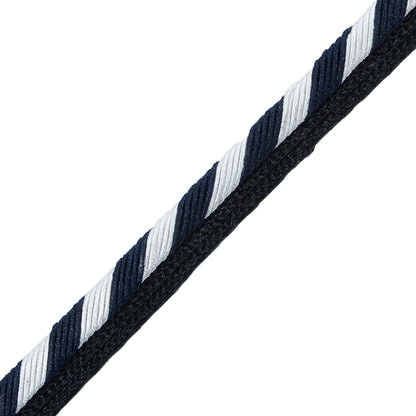 Striped Twisted Cord Trim with Lip - 0.25" Detail